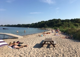 Idyllisk og brnevenlig sandstrand i rolige og naturlige omgivelser tt p ferieboligen. Perfekt til hyggelige gture ret rundt !